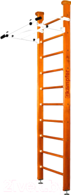 Шведская стенка Kampfer Swedish Ceiling - фото