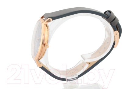 Часы наручные женские Skagen SKW2672