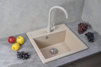 Мойка кухонная БелЭворс Rio