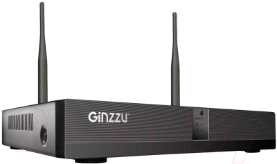 Комплект видеонаблюдения Ginzzu HK-4202W