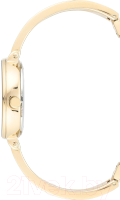 Часы наручные женские Anne Klein AK/3620PLST