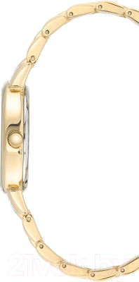 Часы наручные женские Anne Klein AK/3692MPGB