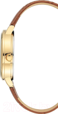 Часы наручные женские Anne Klein AK/3824CHHY