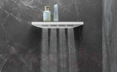 Боковой душ Hansgrohe Rainfinity 26243700