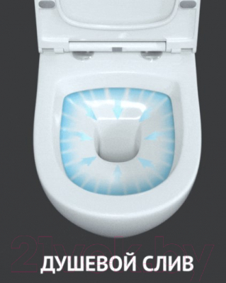 Унитаз подвесной Berges Geo Okus 48 / 082127