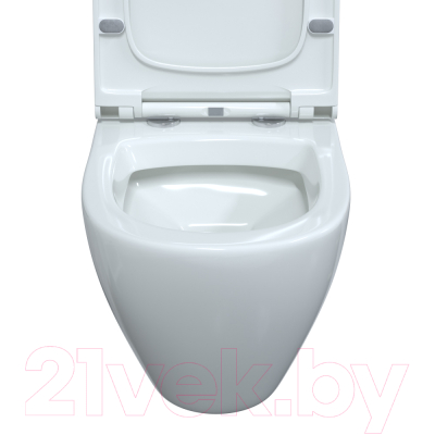 Унитаз подвесной Berges Geo Okus 48 / 082127