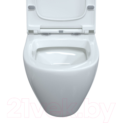 Унитаз подвесной с инсталляцией Berges Novum / 043263