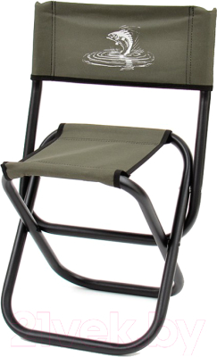 Стул складной НПО Кедр Max малый /  SSM-01 (сталь) - фото