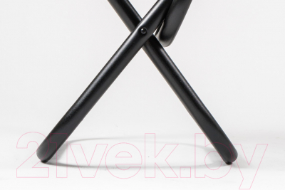 Стул складной НПО Кедр Max малый /  SSM-01 (сталь)