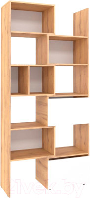 Стеллаж Глазов Лойс 95 - фото