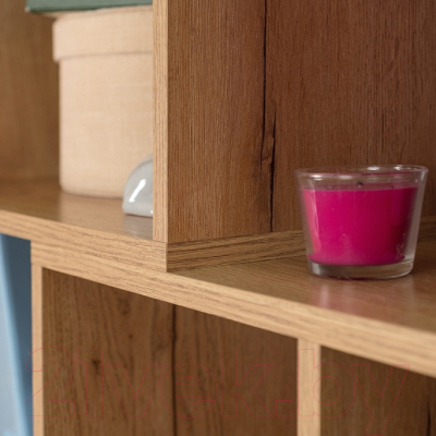 Стеллаж Глазов Лойс 95