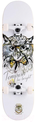 Лонгборд Tempish Golden Owl / 106000047 - фото