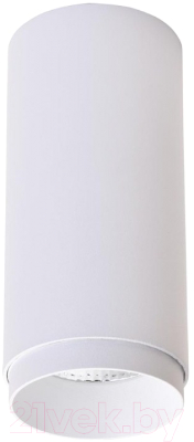 Точечный светильник Wertmark Stecken WE802.01.007