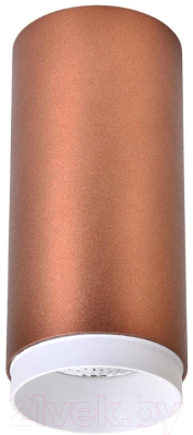 Точечный светильник Wertmark Stecken WE802.01.607