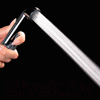 Лейка гигиенического душа IDDIS 0201F15I20