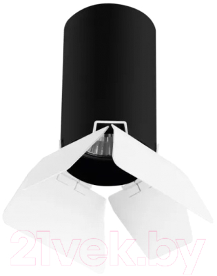 Точечный светильник Lightstar Rullo R437436 - фото