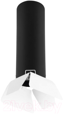 Точечный светильник Lightstar Rullo R497436 - фото