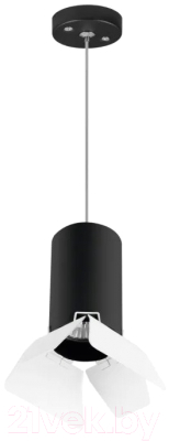 Потолочный светильник Lightstar Rullo RP437436 - фото