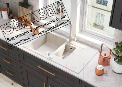 Мойка кухонная Polygran Brig-870