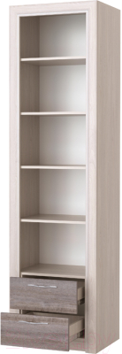 Шкаф-пенал Памир Октава 1С2Я (дуб клабхаус серый)