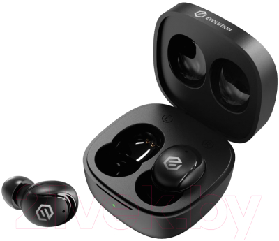 Беспроводные наушники Evolution BH205