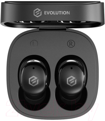 Беспроводные наушники Evolution BH205
