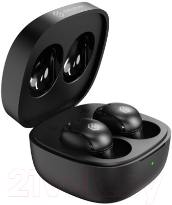 Беспроводные наушники Evolution BH205