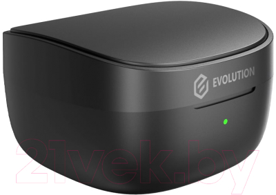 Беспроводные наушники Evolution BH205