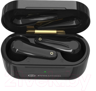Беспроводные наушники Evolution BH505