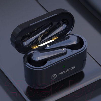 Беспроводные наушники Evolution BH505