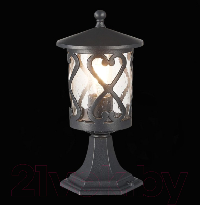 Светильник уличный ST Luce Lorne SL085.405.01