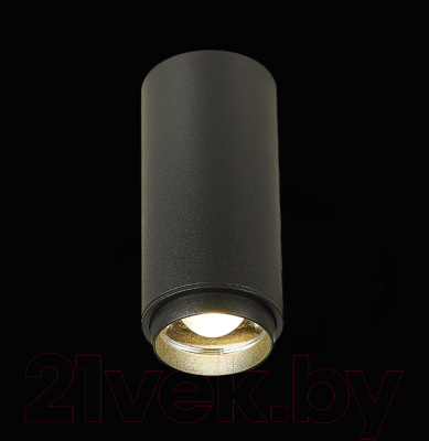 Потолочный светильник ST Luce Zoom ST600.442.10