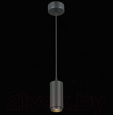 Потолочный светильник ST Luce Zoom ST600.443.10