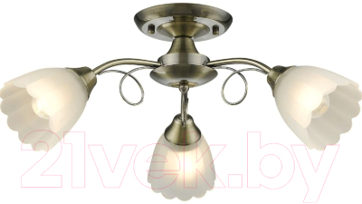 Люстра Velante 708-507-03 - фото