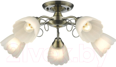 Люстра Velante 708-507-05 - фото