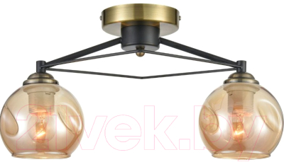 Потолочный светильник Velante 769-527-02 - фото