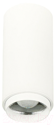 Потолочный светильник ST Luce Zoom ST600.532.10 - фото