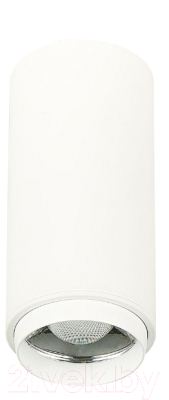 Потолочный светильник ST Luce Zoom ST600.542.10 - фото