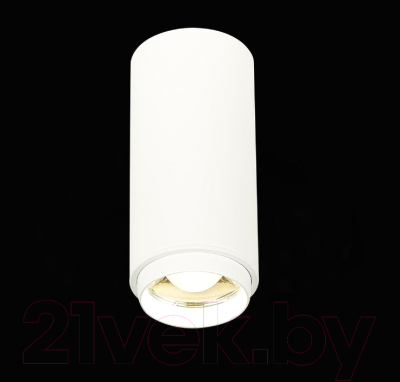 Потолочный светильник ST Luce Zoom ST600.542.10