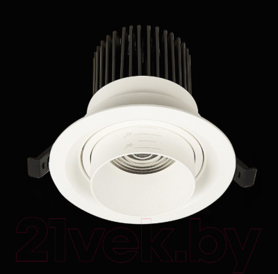 Точечный светильник ST Luce Zoom ST701.548.12