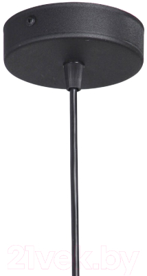 Потолочный светильник Vitaluce V4961-1/1S