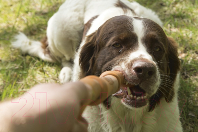 Игрушка для собак Beeztees Sumo Fit Stick / 626635