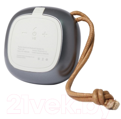 Портативная колонка Yoobao Mini-Speaker M1 (серый)