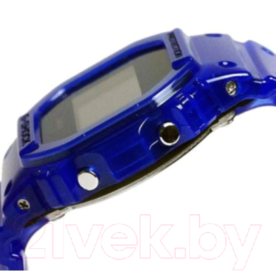 Часы наручные мужские Casio DW-5600SB-2ER