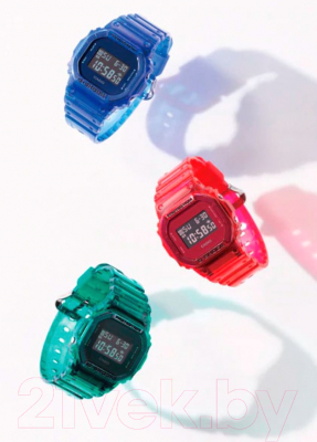 Часы наручные мужские Casio DW-5600SB-2ER