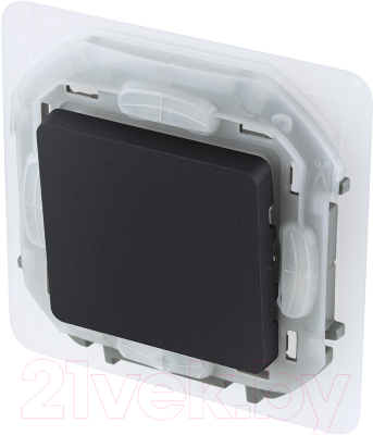 Выключатель Legrand Inspiria 673673