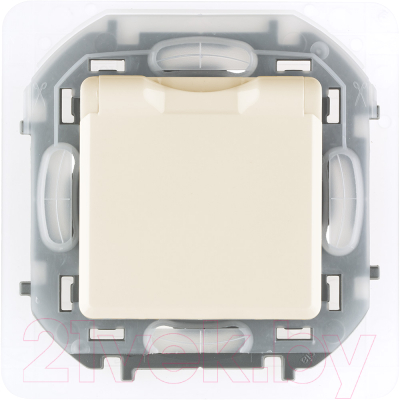Розетка Legrand Inspiria 673741 - фото
