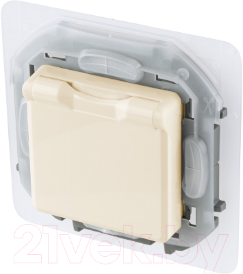 Розетка Legrand Inspiria 673741