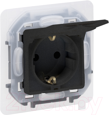 Розетка Legrand Inspiria 673743