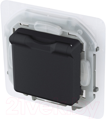 Розетка Legrand Inspiria 673743